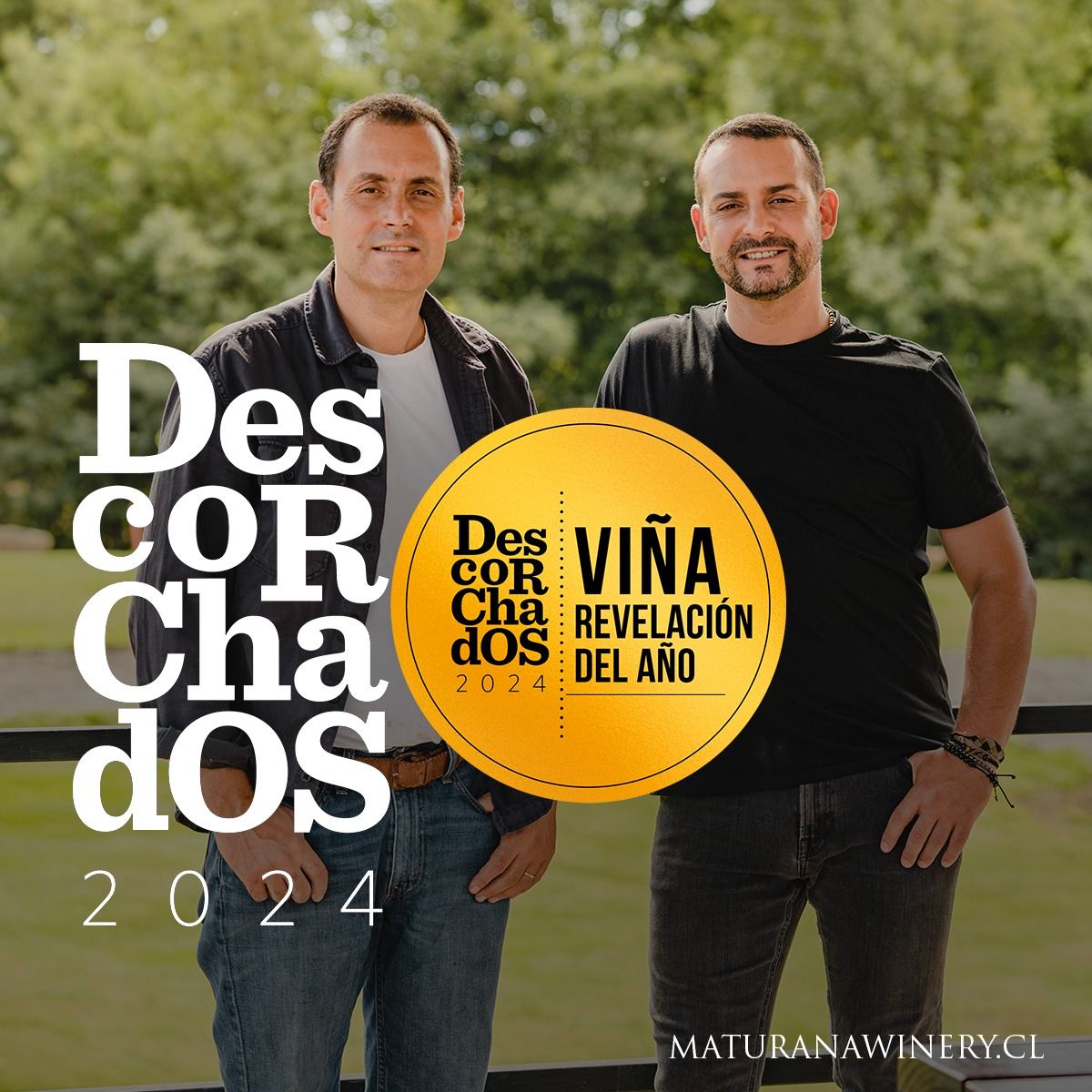 Vino Maturana servido en copa